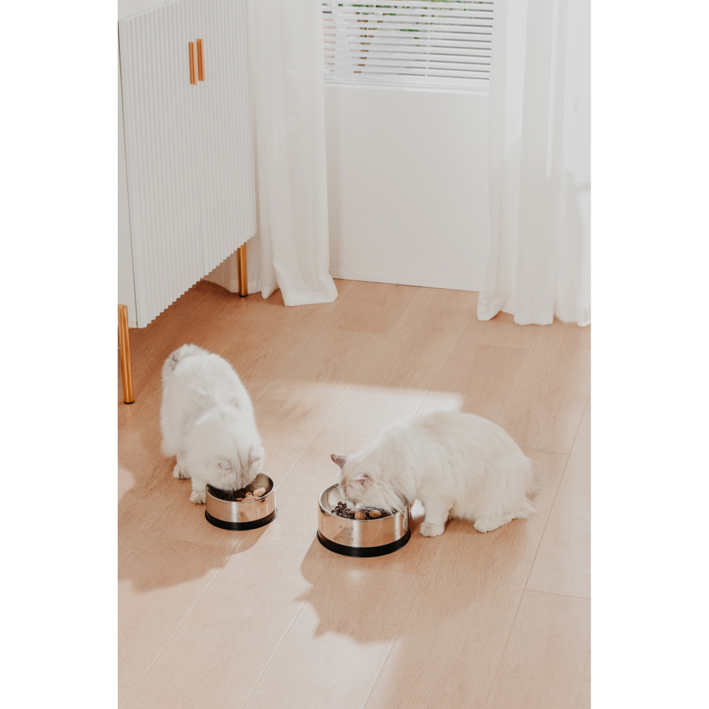 Pawgether Bowl 2S Kedi ve Küçük Irk Köpekler için Çelik Mama ve Su Kabı 850ml