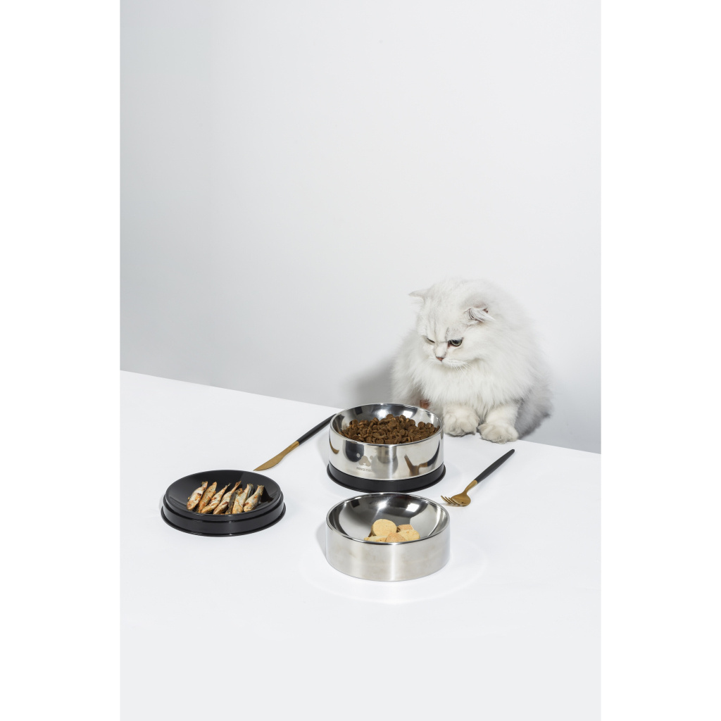 Pawgether Bowl 2 Kedi ve Küçük Irk Köpekler için Çelik Mama ve Su Kabı 400ml