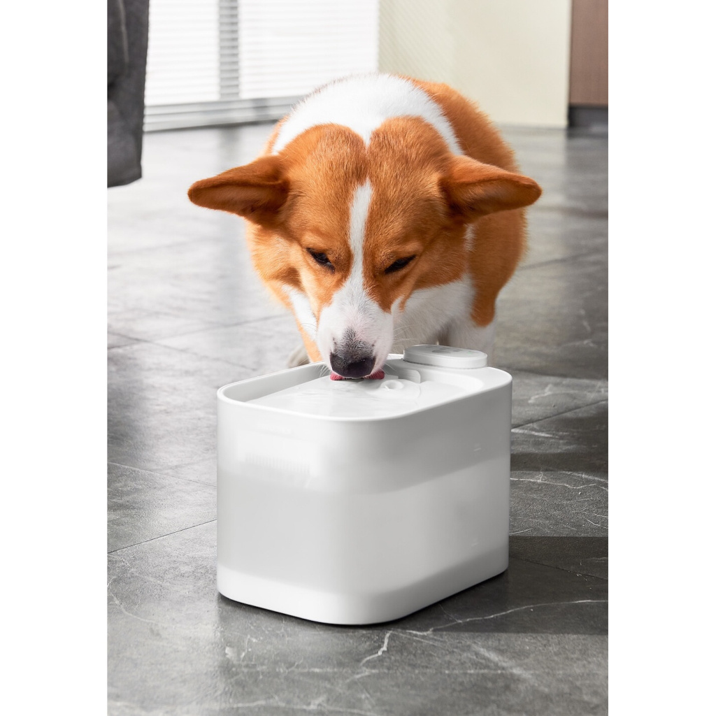 Pawgether Pure 4S Kedi ve Küçük Irk Köpekler İçin Otomatik Su Kabı 2500ml