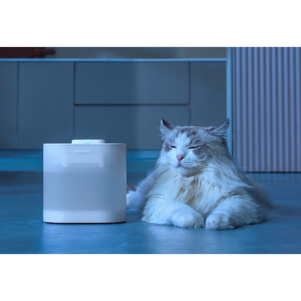 Pawgether Pure 4S Kedi ve Küçük Irk Köpekler İçin Otomatik Su Kabı 2500ml