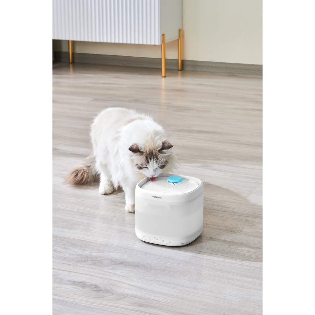 Pawgether Pure 3S Kedi ve Küçük Irk Köpekler İçin Otomatik Su Kabı 2000ml