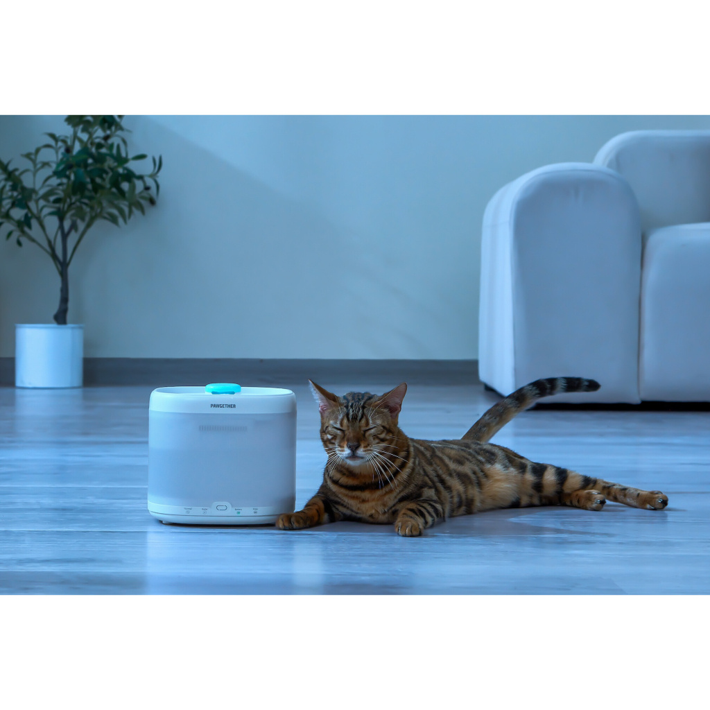 Pawgether Pure 3S Kedi ve Küçük Irk Köpekler İçin Otomatik Su Kabı 2000ml