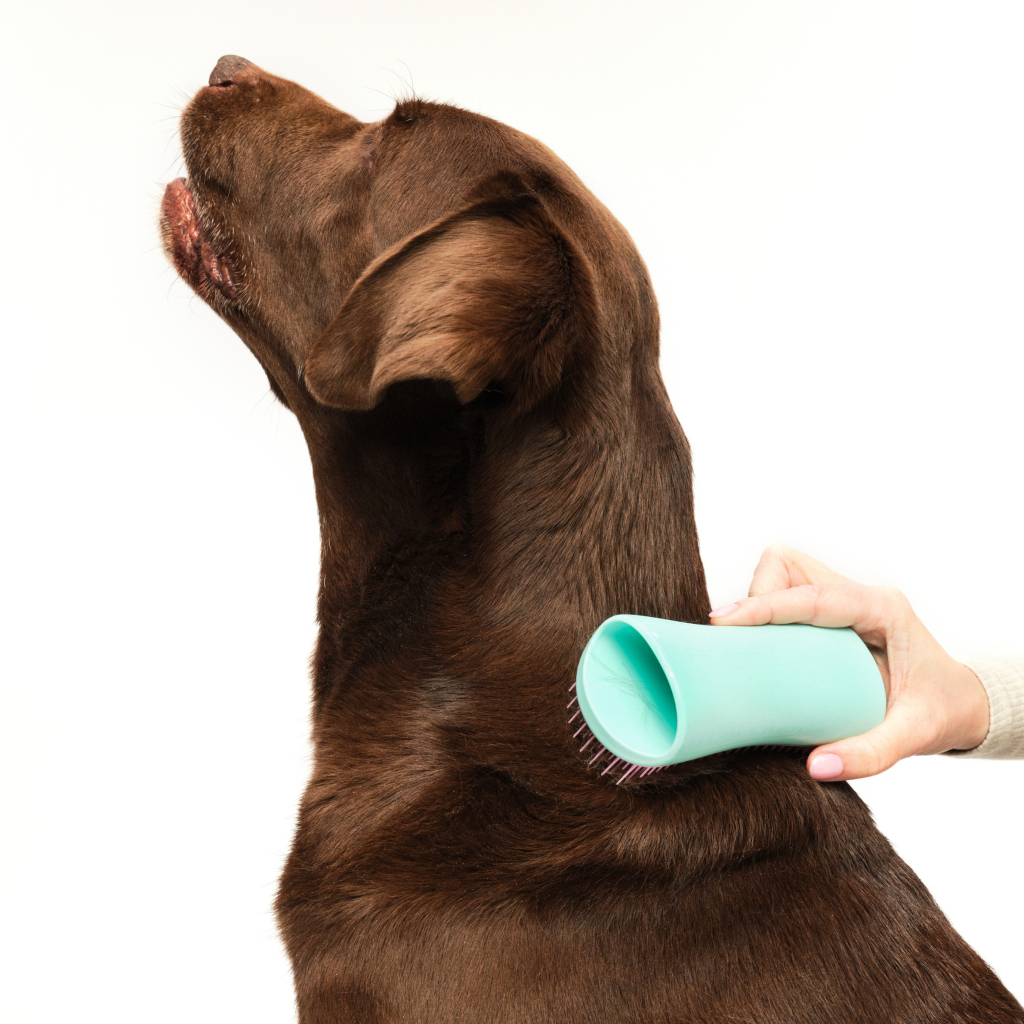 PET TEEZER De-Shedding Tüy Toplayıcı Büyük Irk Köpek Bakım Fırçası 14,7x6,4cm (Pembe)