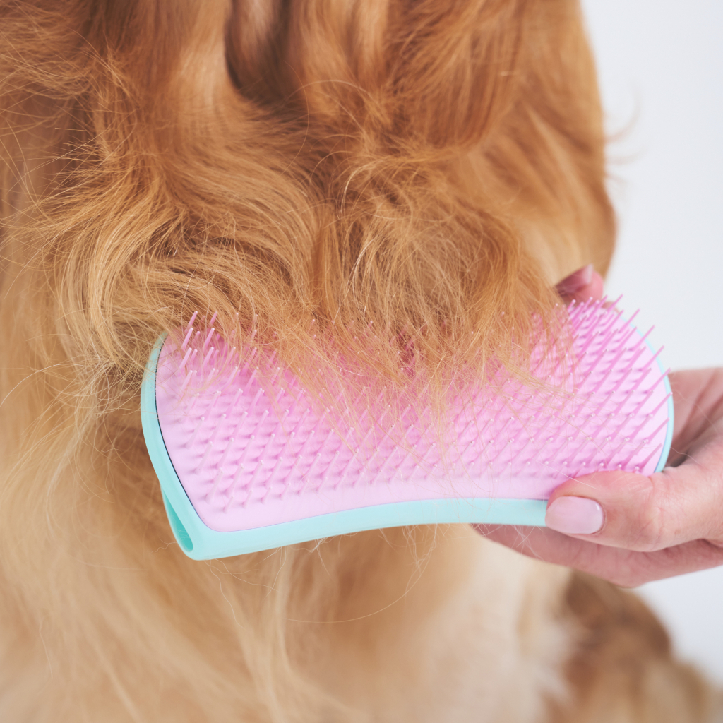 PET TEEZER De-Shedding Tüy Toplayıcı Büyük Irk Köpek Bakım Fırçası 14,7x6,4cm (Pembe)
