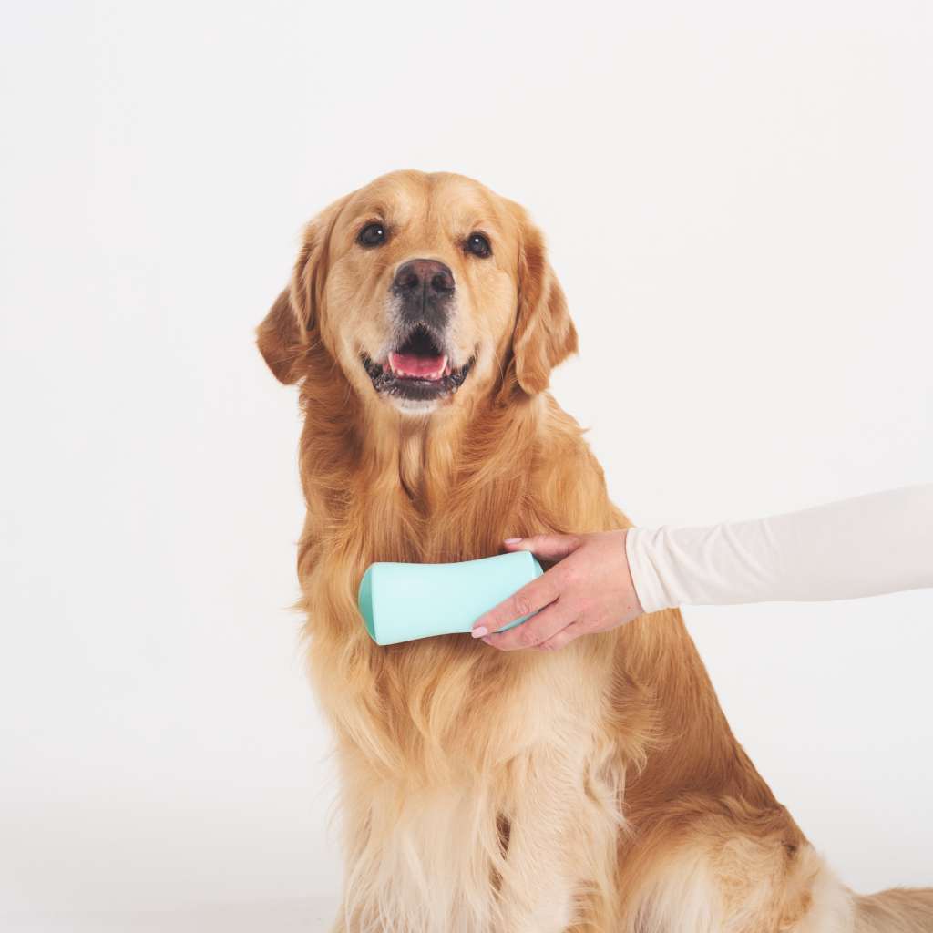PET TEEZER De-Shedding Tüy Toplayıcı Büyük Irk Köpek Bakım Fırçası 14,7x6,4cm (Pembe)