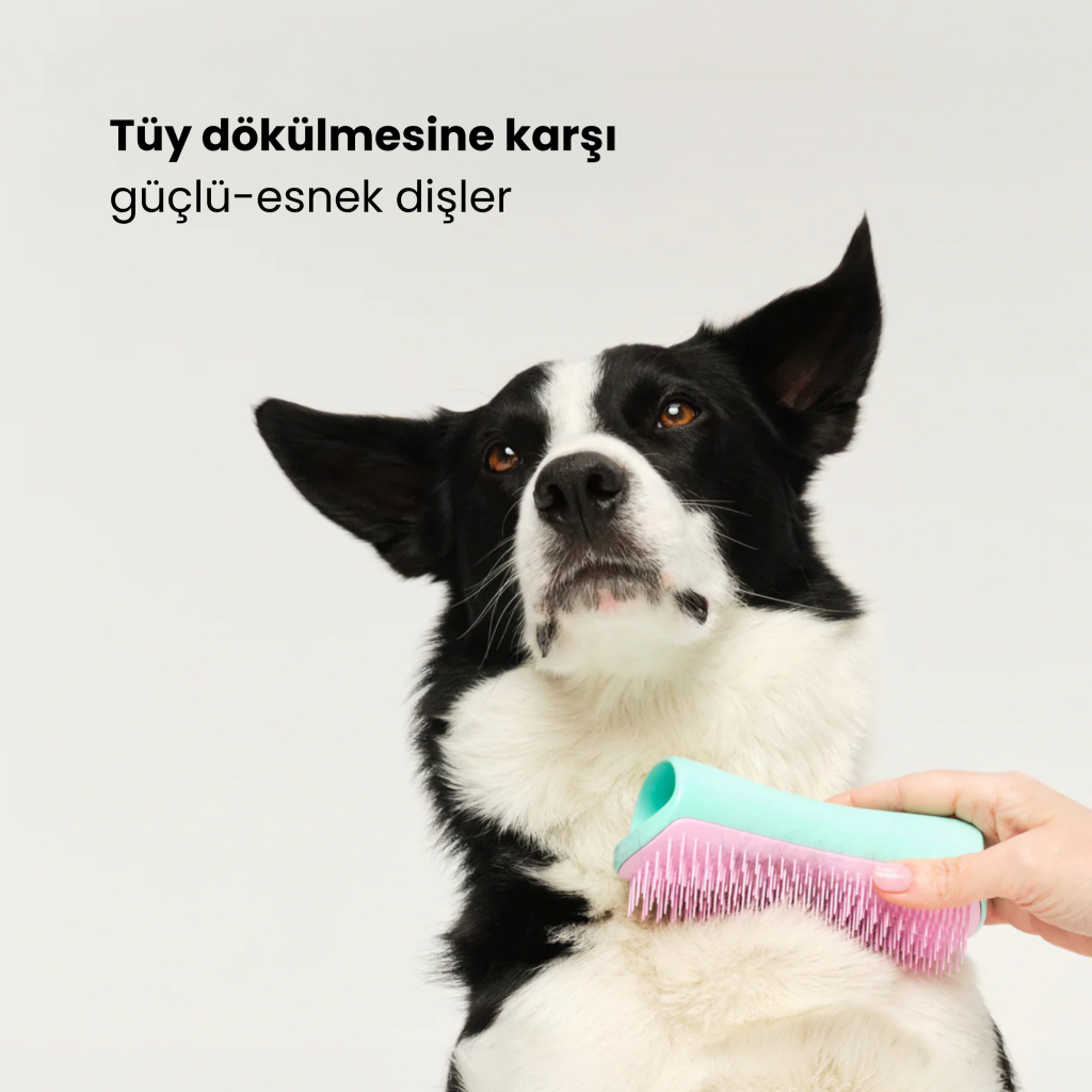 PET TEEZER De-Shedding Tüy Toplayıcı Büyük Irk Köpek Bakım Fırçası 14,7x6,4cm (Pembe)