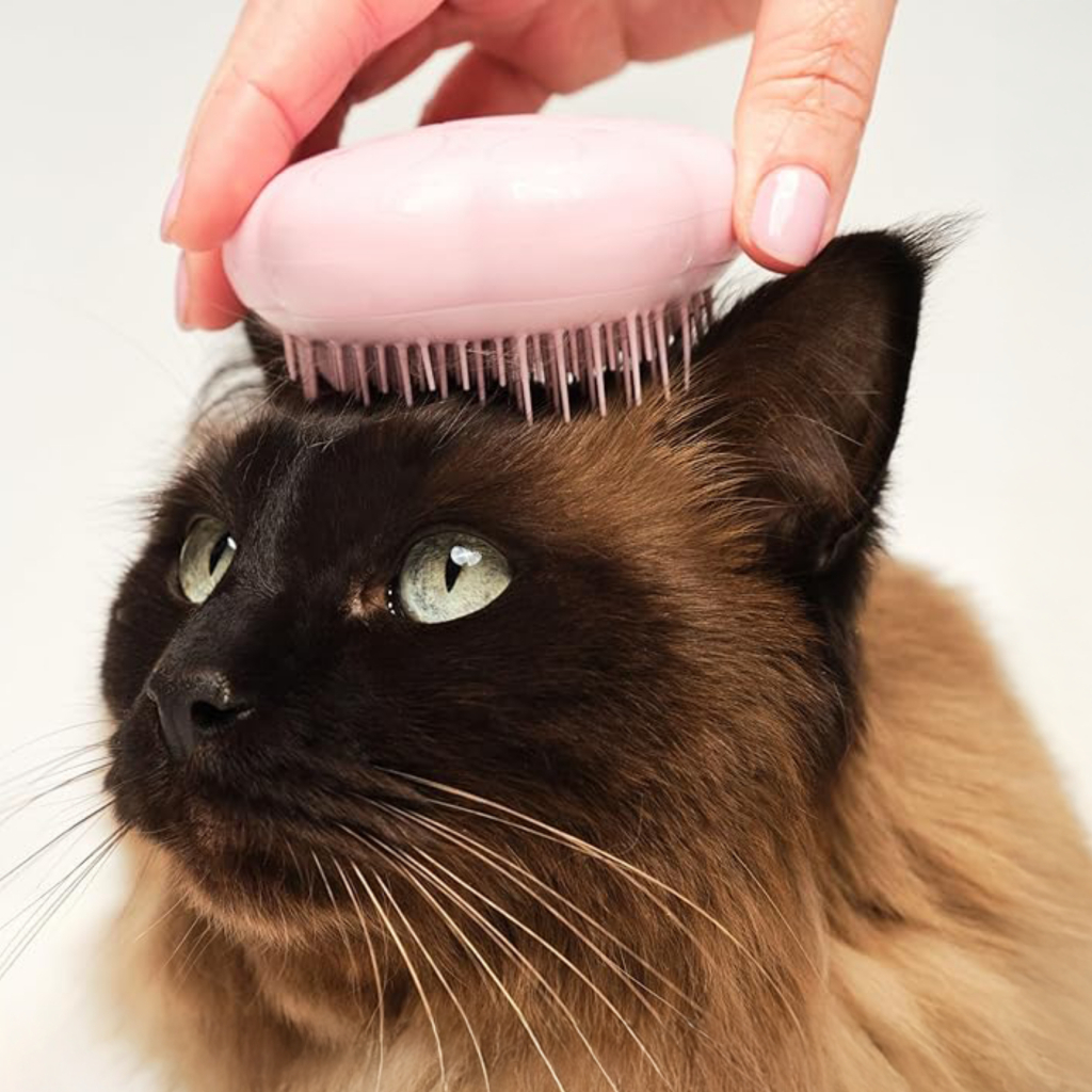 PET TEEZER Cat Grooming Brush Kedi Bakım Fırçası (Pembe)