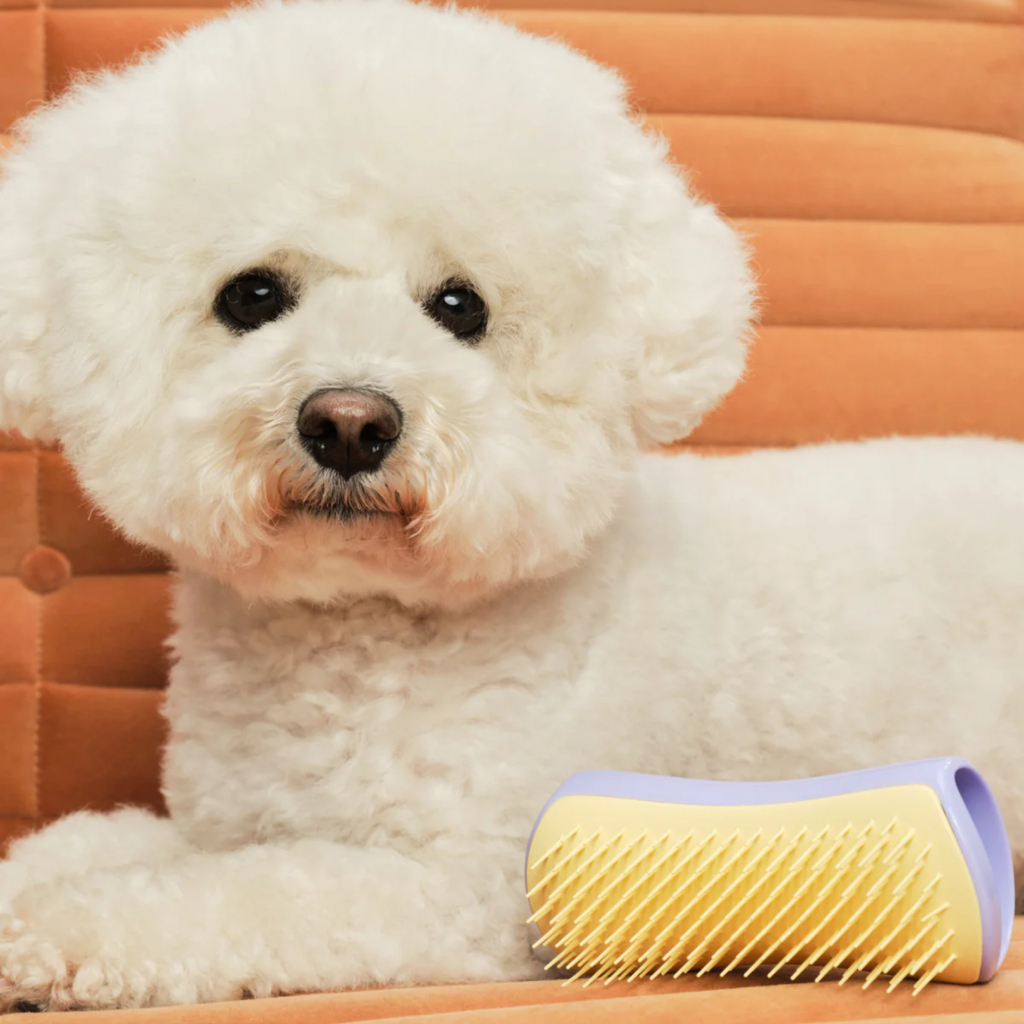 PET TEEZER Detangling Dolaşık Açıcı Küçük Irk Köpek Bakım Fırçası 11,7x5cm (Sarı)