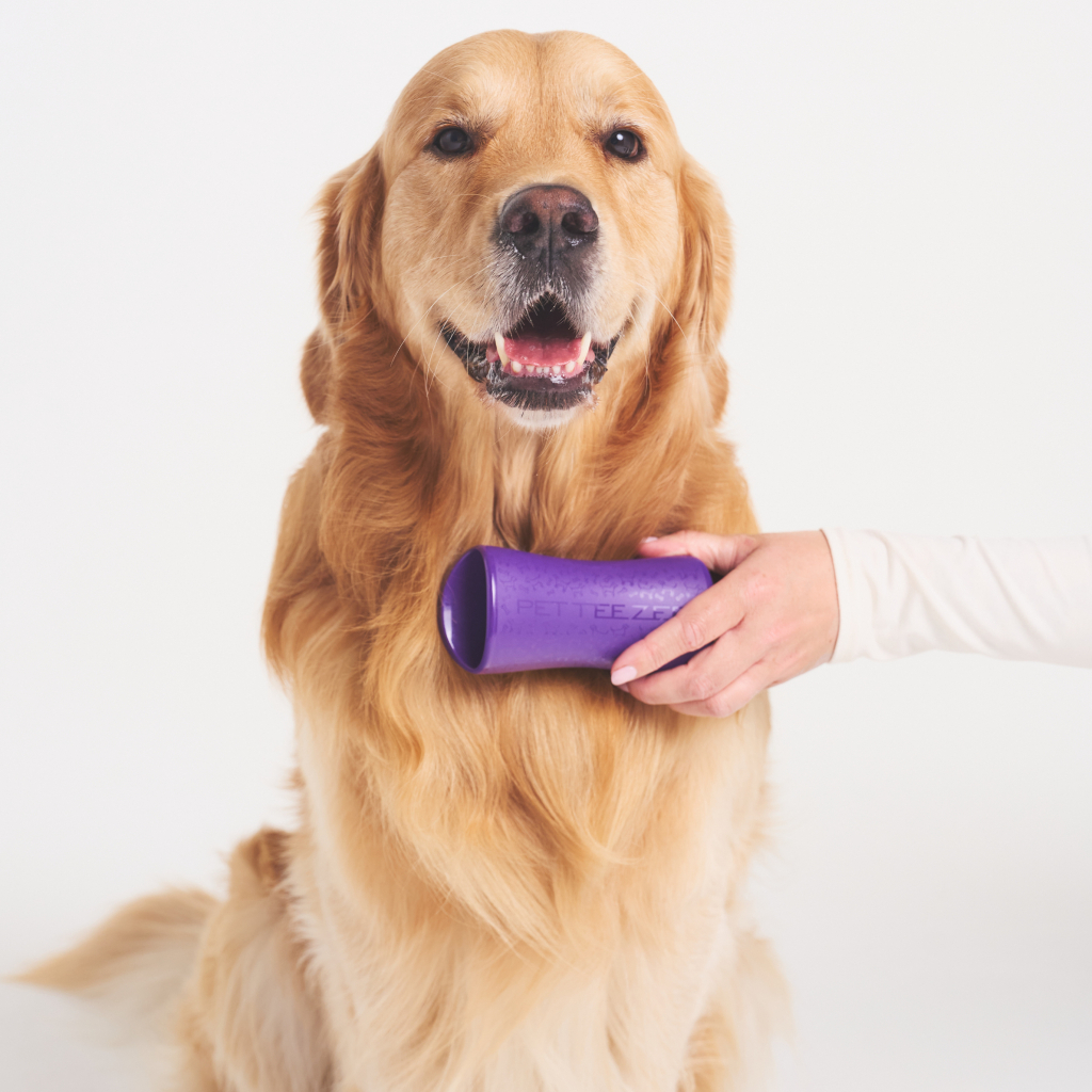 PET TEEZER De-Shedding Tüy Toplayıcı Büyük Irk Köpek Bakım Fırçası 14,7x6,4cm (Siyah)