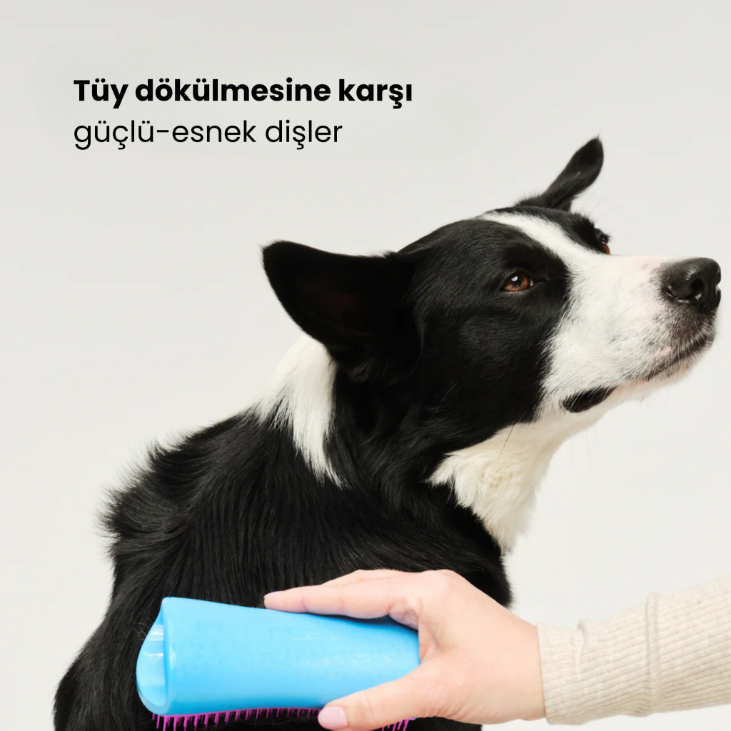 PET TEEZER De-Shedding Tüy Toplayıcı Büyük Irk Köpek Bakım Fırçası 14,7x6,4cm (Pembe)