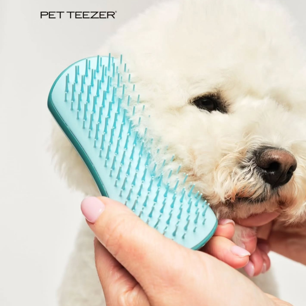 PET TEEZER Detangling Dolaşık Açıcı Küçük Irk Köpek Bakım Fırçası 11,7x5cm (Mavi)