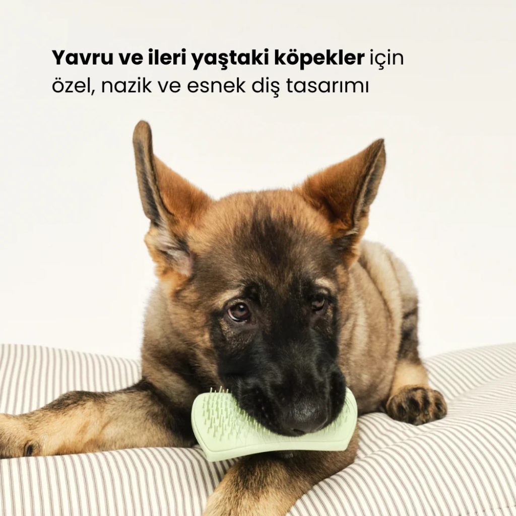 PET TEEZER Sensitive Skin Dolaşık Açıcı Yavru Köpek Bakım Fırçası 11,7x5cm (Yeşil)