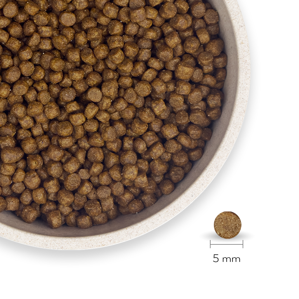 Petlebi Somonlu Yavru Tester Kedi Maması 150gr