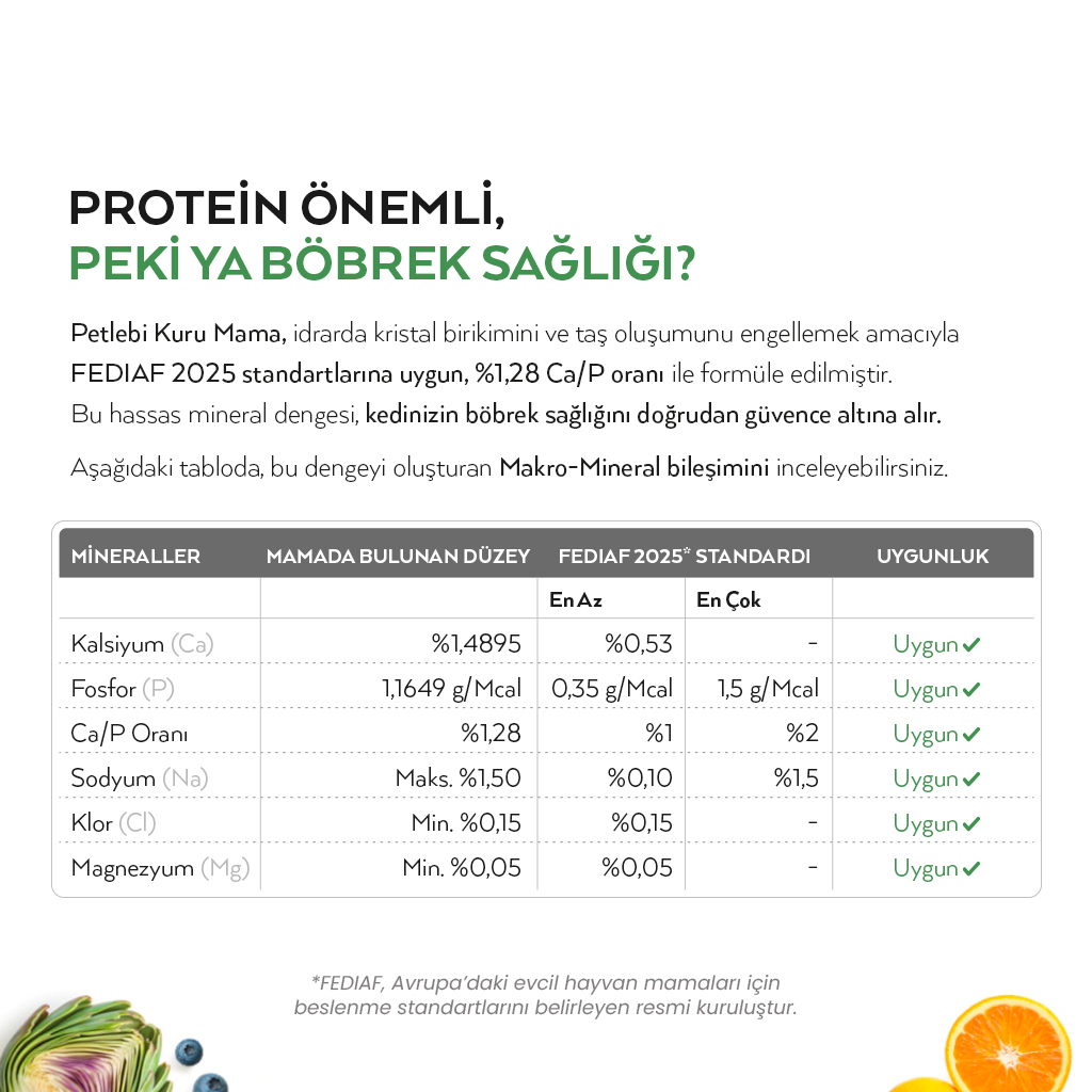 Petlebi Somonlu Kısırlaştırılmış Kedi Maması 2kg