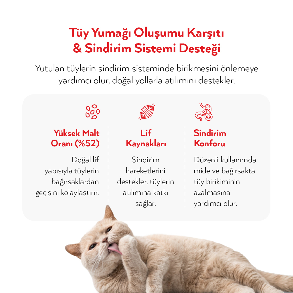 Petlebi Tüy Dökülmesi Azaltıcı ve Tüy Yumağı Önleyici Kolajenli Malt Kedi Macunu 100gr