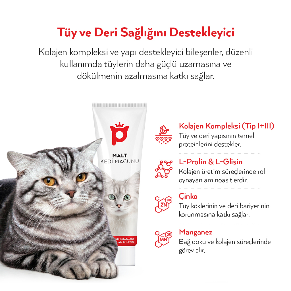 Petlebi Tüy Dökülmesi Azaltıcı ve Tüy Yumağı Önleyici Kolajenli Malt Kedi Macunu 30gr