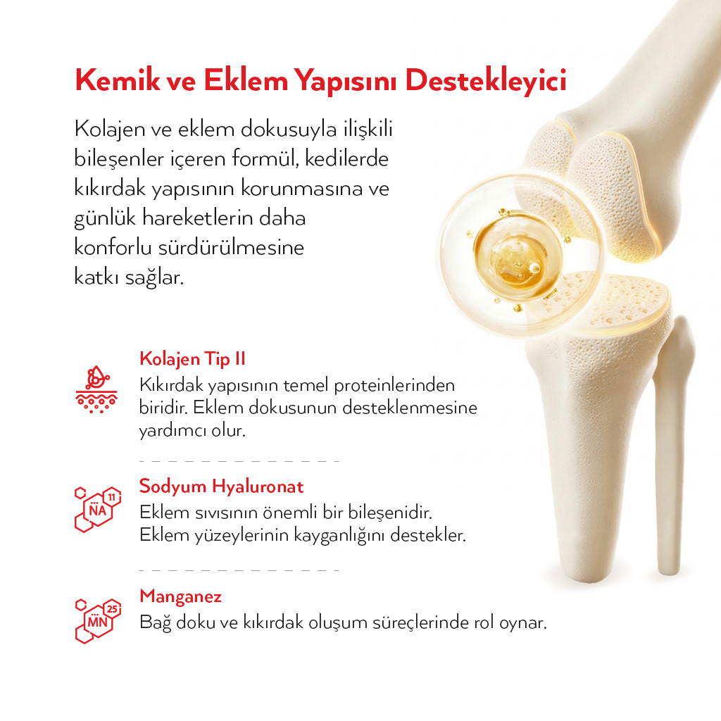 Petlebi Tüy Dökülmesi Azaltıcı ve Tüy Yumağı Önleyici Kolajenli Malt Kedi Macunu 30gr