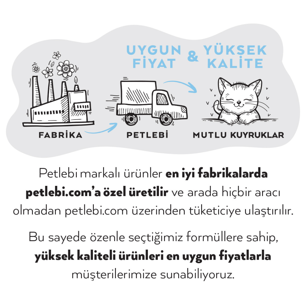 Petlebi Somonlu ve Karidesli Krema Kedi Ödül Maması 14gr