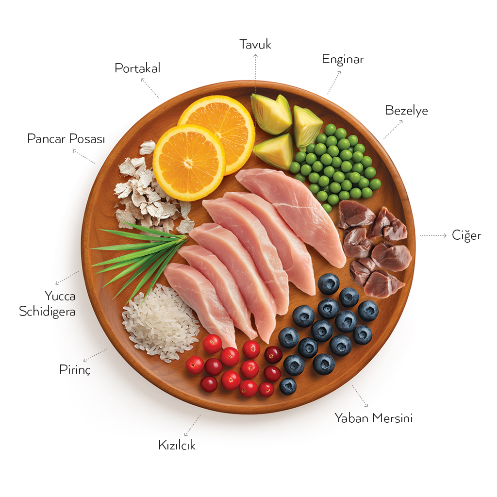 Petlebi Tavuklu Kısırlaştırılmış Kedi Maması 10kg