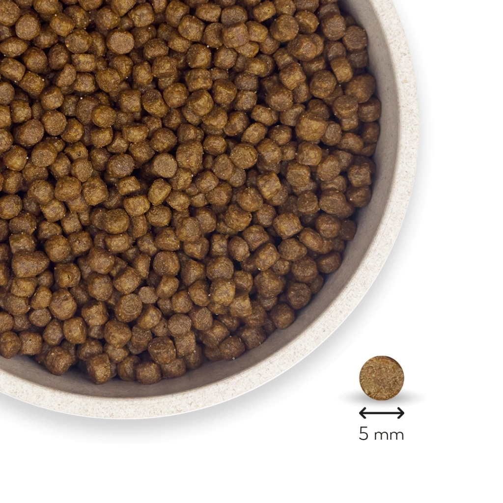 Petlebi Somonlu Yavru Tester Kedi Maması 150gr