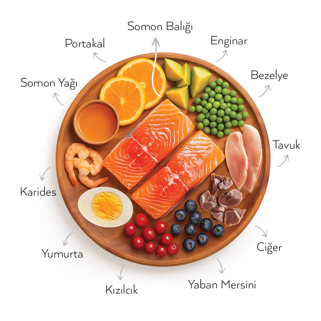 Petlebi Somonlu Yavru Tester Kedi Maması 150gr