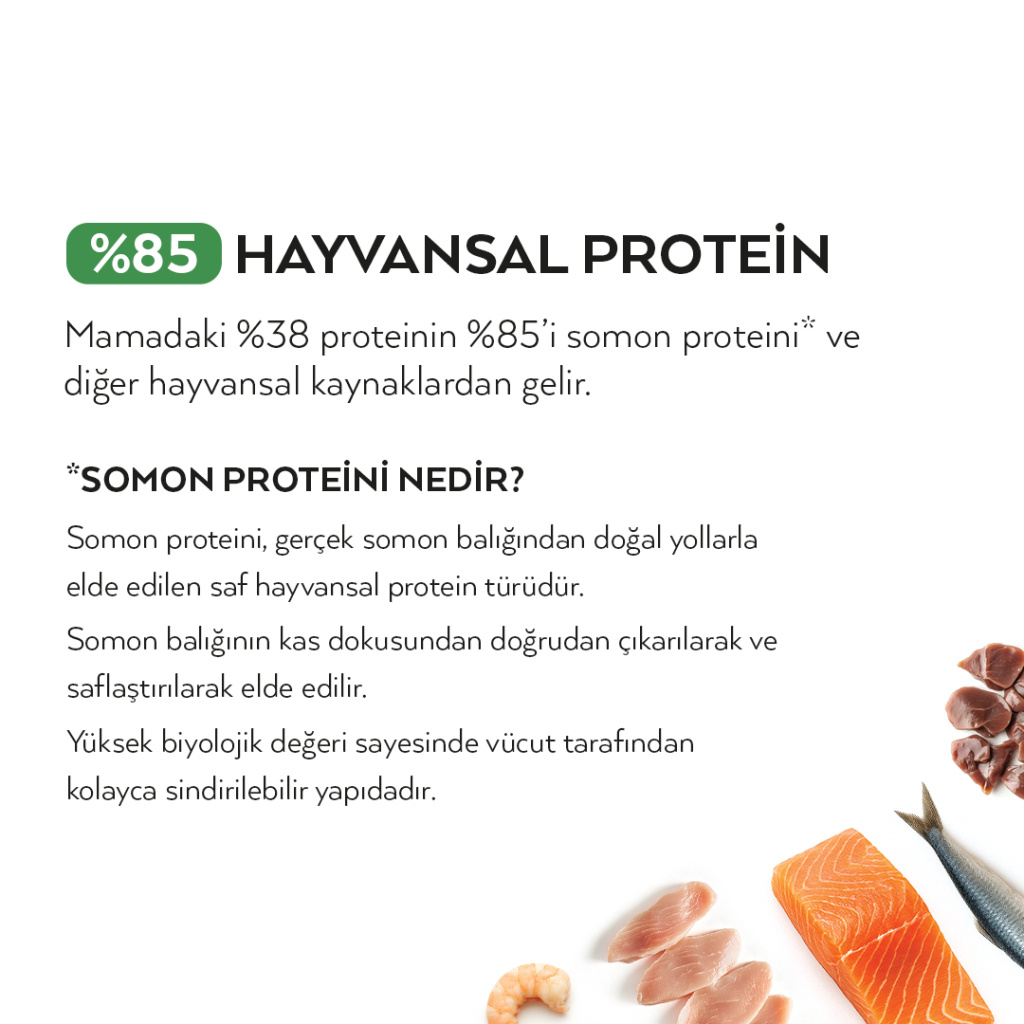Petlebi Somonlu Yavru Tester Kedi Maması 150gr