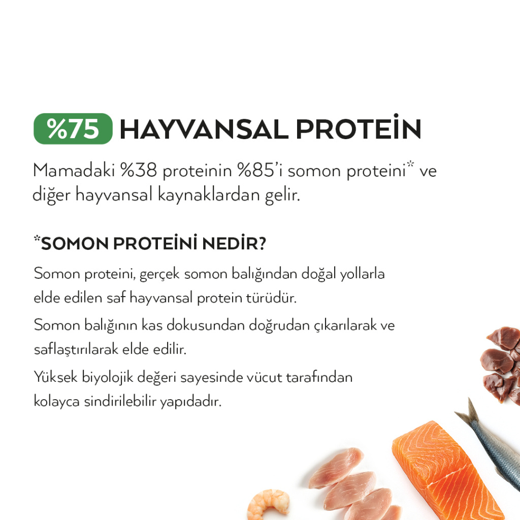 Petlebi Somonlu Yavru Tester Kedi Maması 150gr