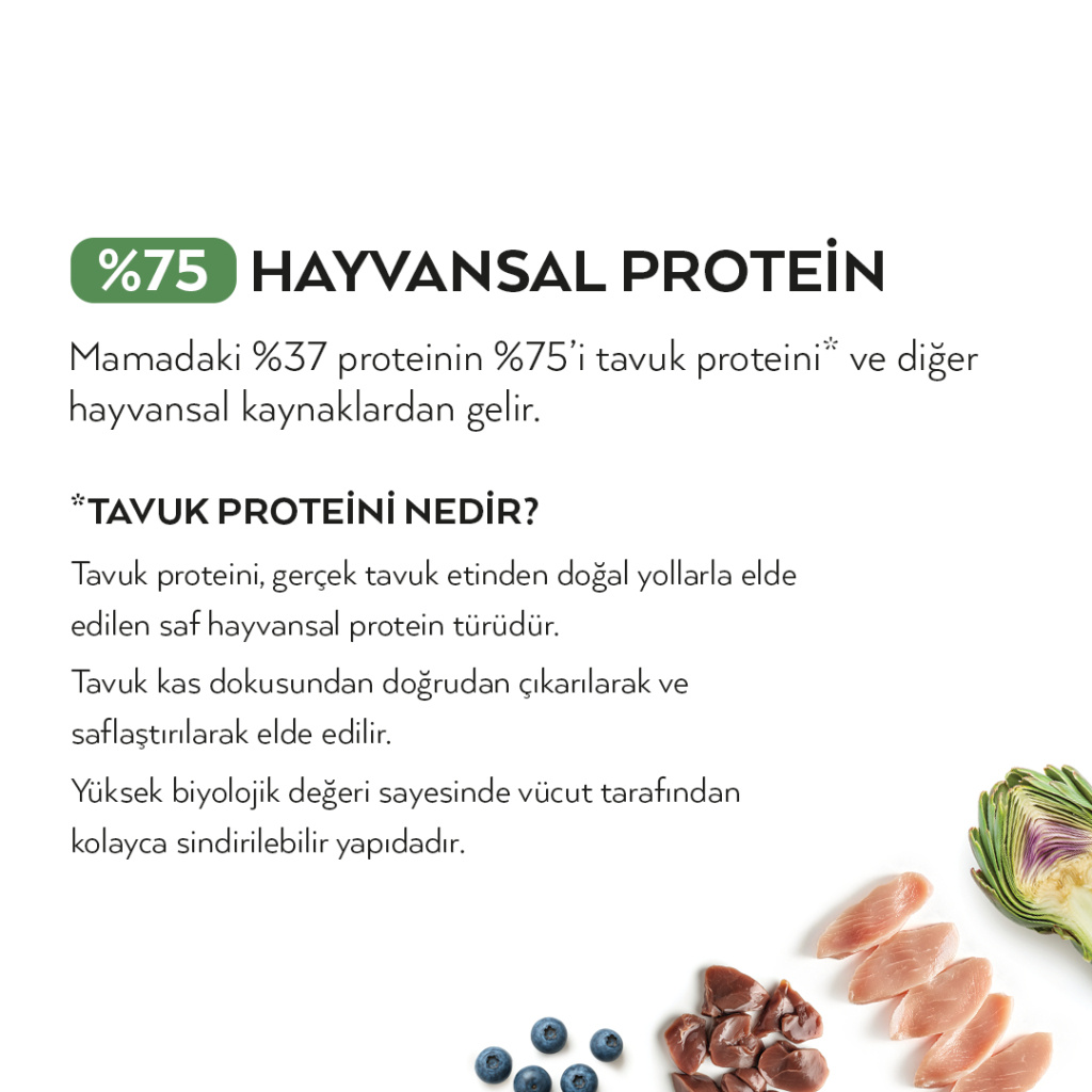 Petlebi Tavuklu Kısırlaştırılmış Tester Kedi Maması 150gr