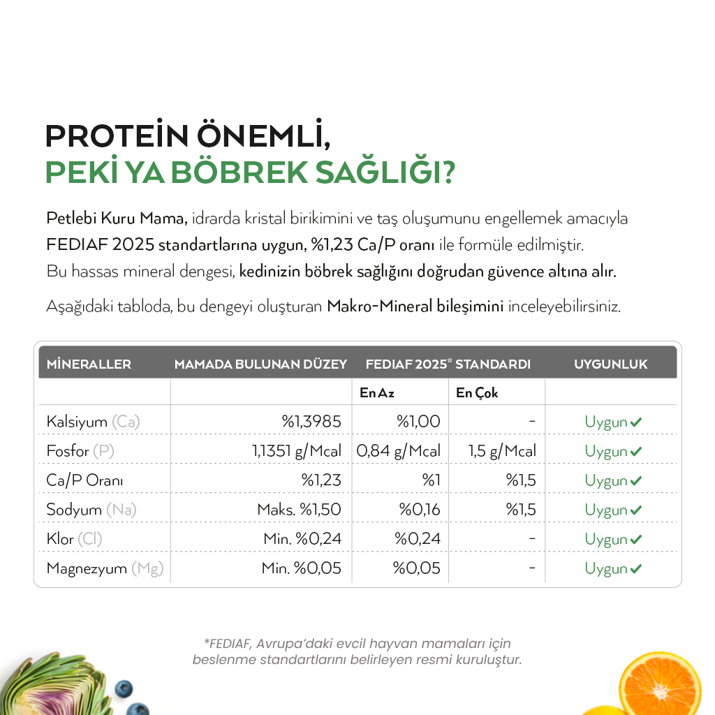 Petlebi Somonlu Yavru Kedi Maması 6kg