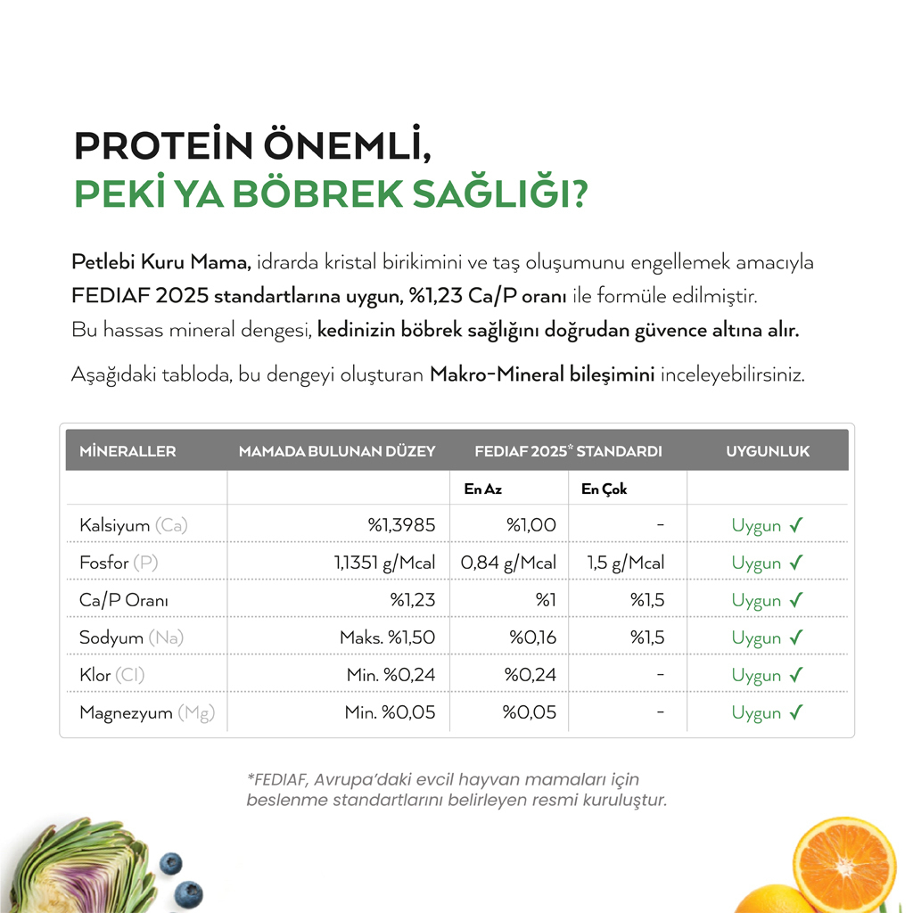 Petlebi Somonlu Yavru Kedi Maması 6kg