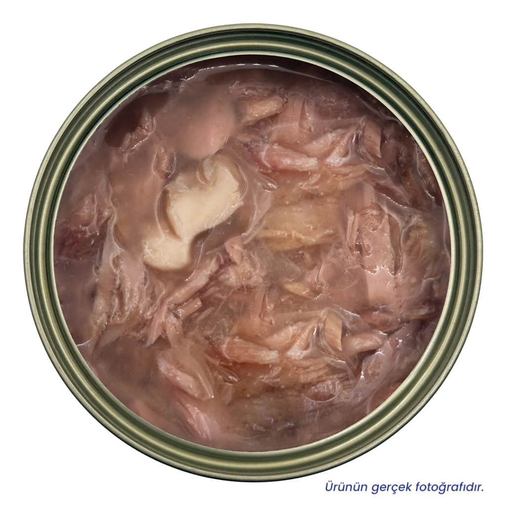 Petlebi Sos İçinde Fileto Taze Ton Balıklı ve Kalamarlı Kedi Konservesi 70gr
