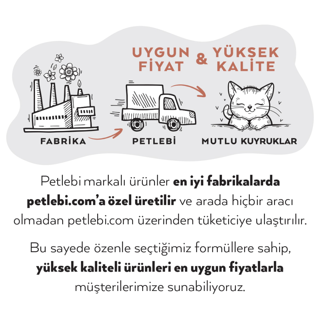 Petlebi Sos İçinde Fileto Taze Ton Balıklı ve Somonlu Kedi Konservesi 70gr (6 Adet)