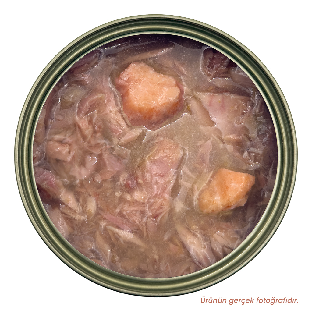 Petlebi Sos İçinde Fileto Taze Ton Balıklı ve Somonlu Kedi Konservesi 70gr (12 Adet)