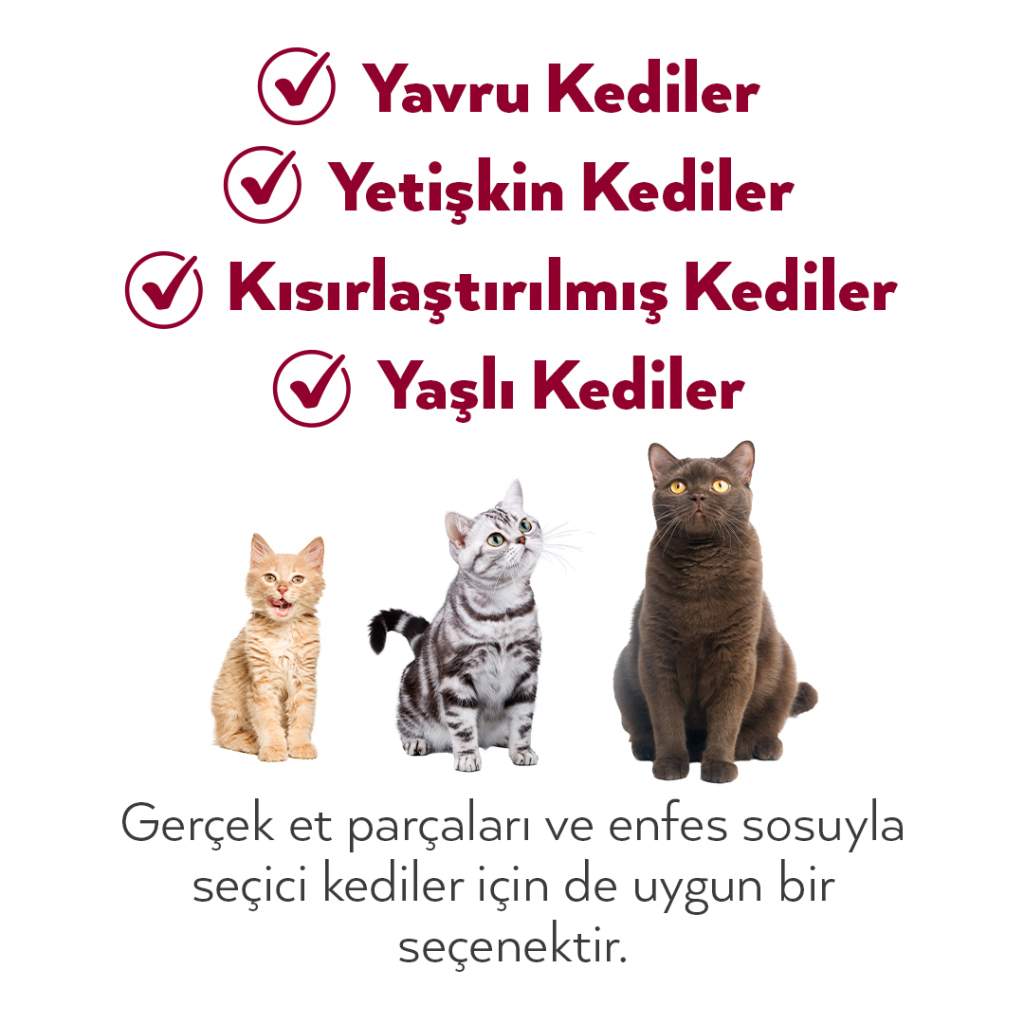 Petlebi Sos İçinde Fileto Taze Ton Balıklı ve Karidesli Kedi Konservesi 70gr (6 Adet)