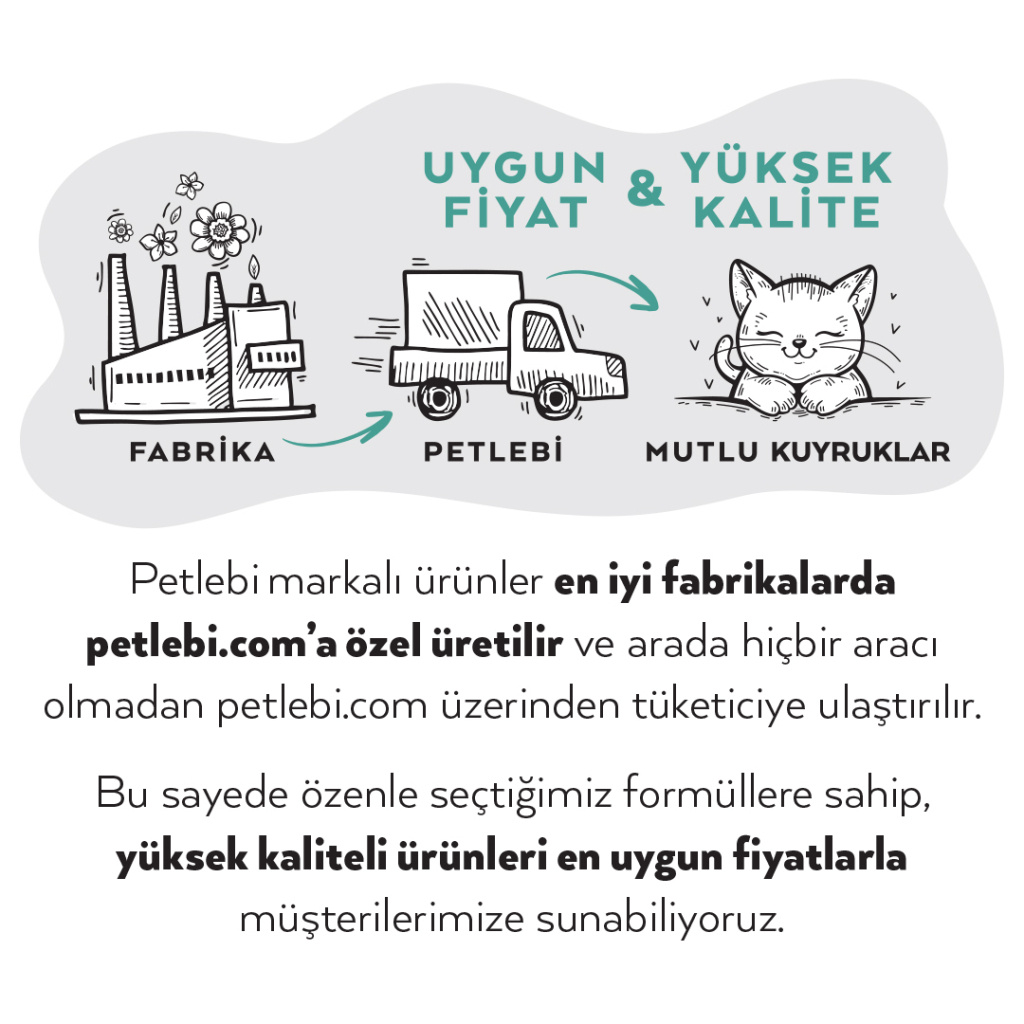 Petlebi Sos İçinde Fileto Taze Ton Balıklı Kedi Konservesi 70gr (12 Adet)