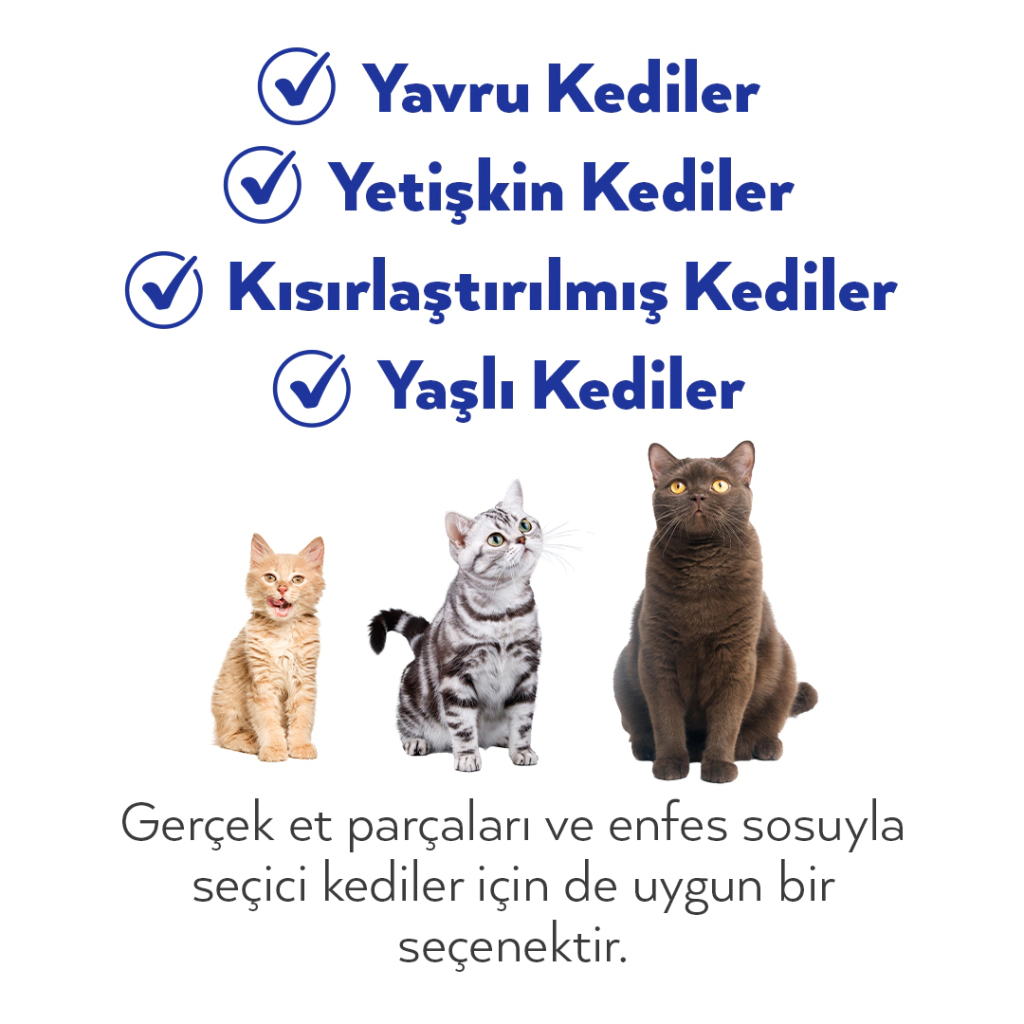 Petlebi Sos İçinde Fileto Taze Ton Balıklı ve Kalamarlı Kedi Konservesi 70gr (24 Adet)