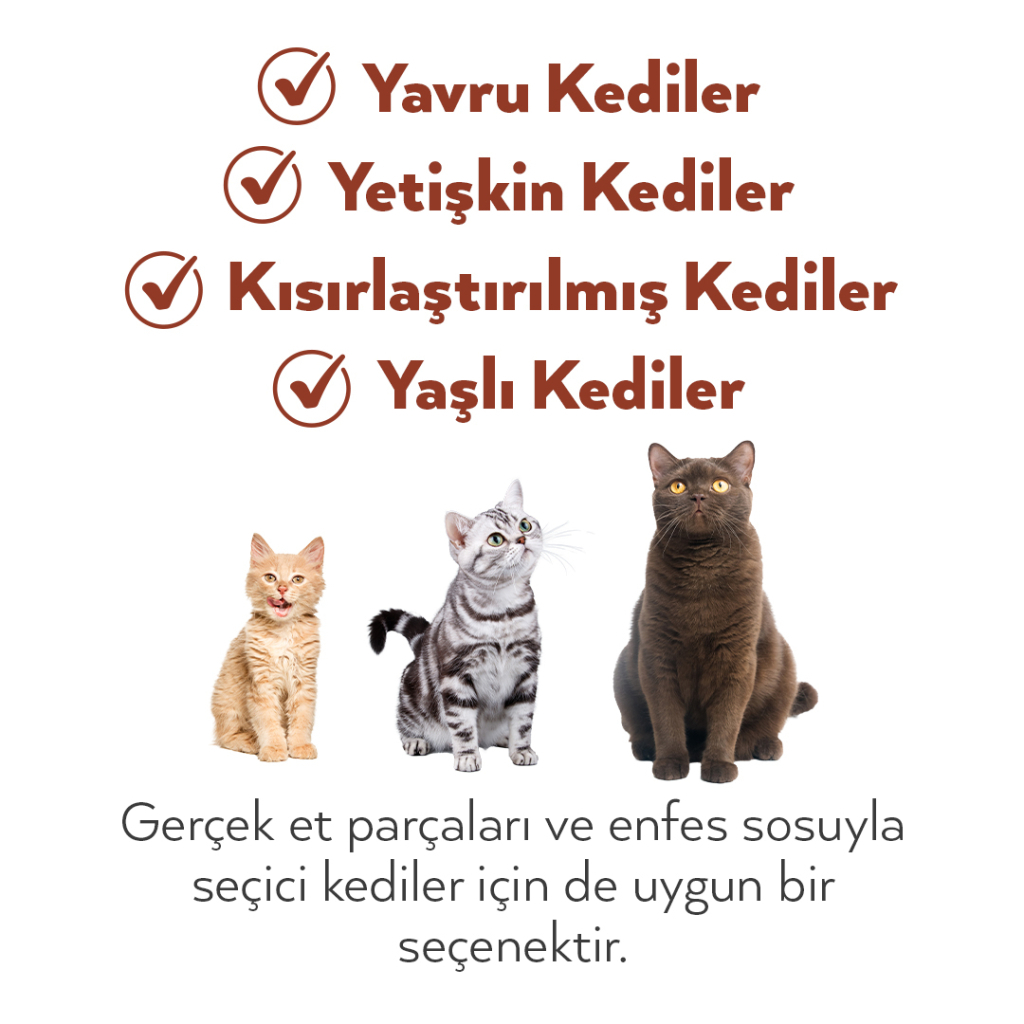 Petlebi Sos içinde Tiftiklenmiş Taze Hindi Etli Kedi Konservesi 70gr