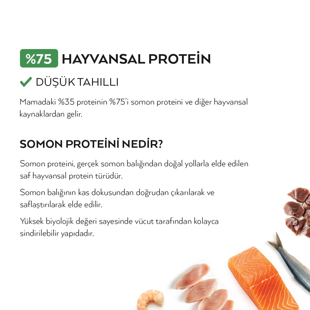 Petlebi Somonlu Yetişkin Kedi Maması 10kg