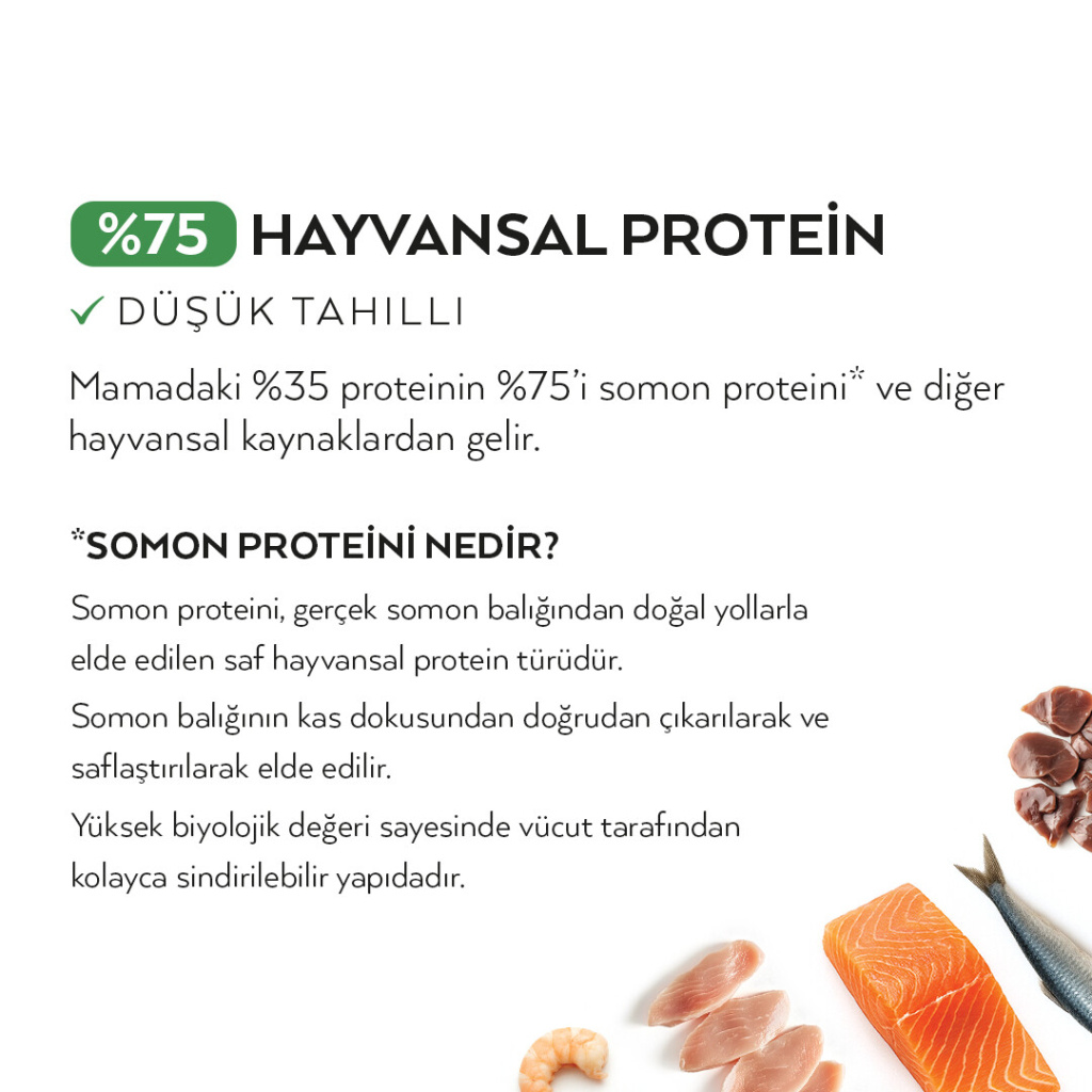 Petlebi Somonlu Yetişkin Kedi Maması 10kg