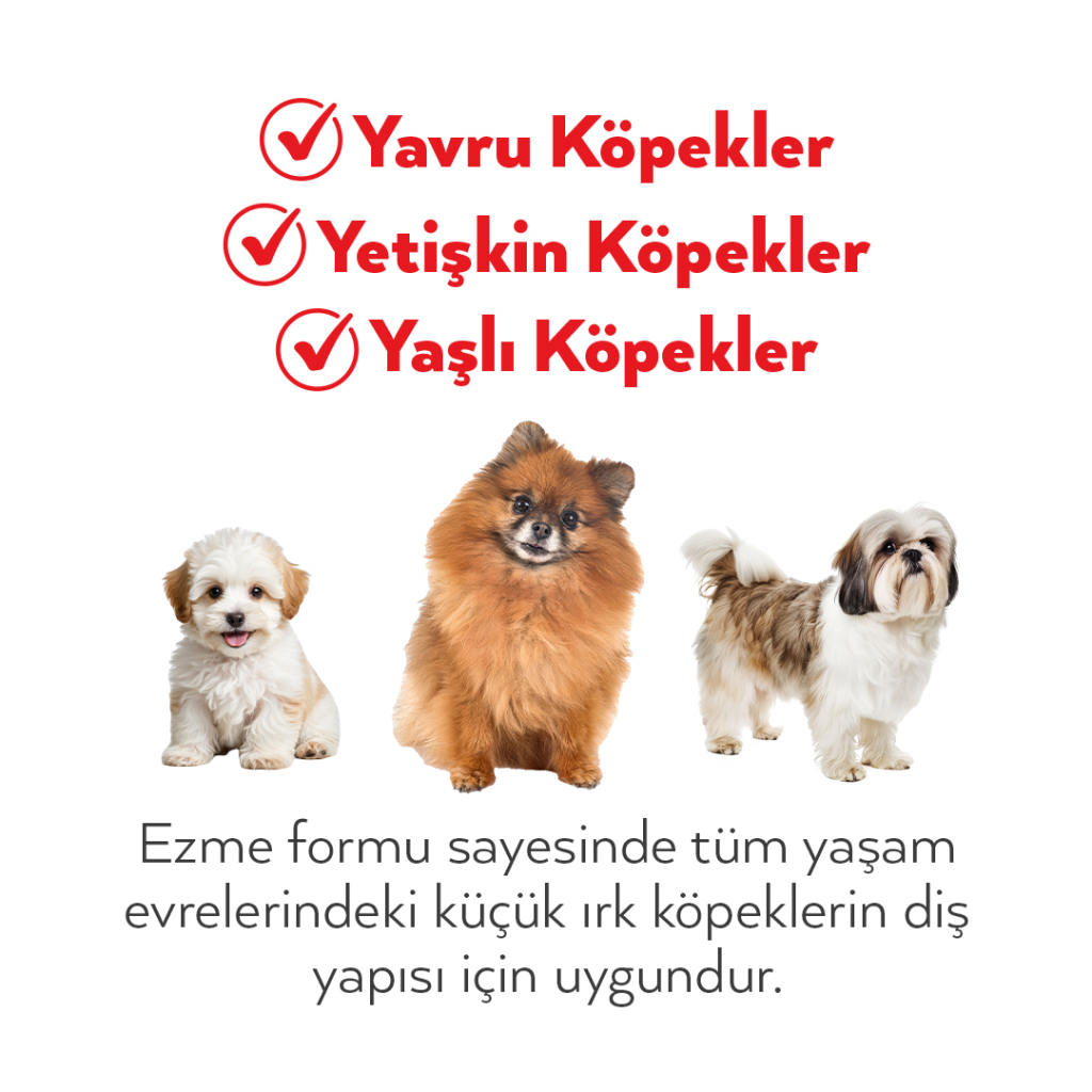 Petlebi Kuzulu Küçük Irklar İçin Ezme Köpek Konservesi 100gr