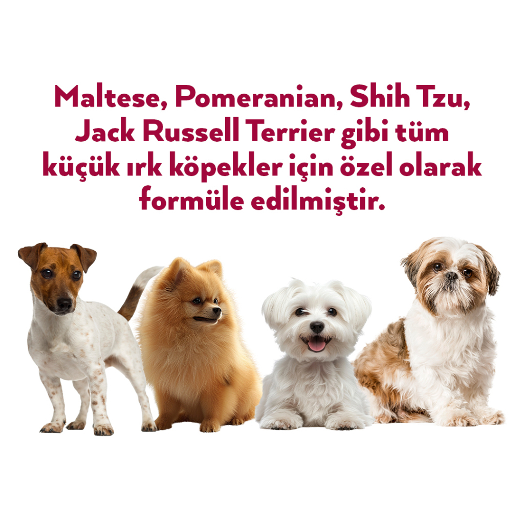 Petlebi Sığırlı Küçük Irklar İçin Ezme Köpek Konservesi 100gr