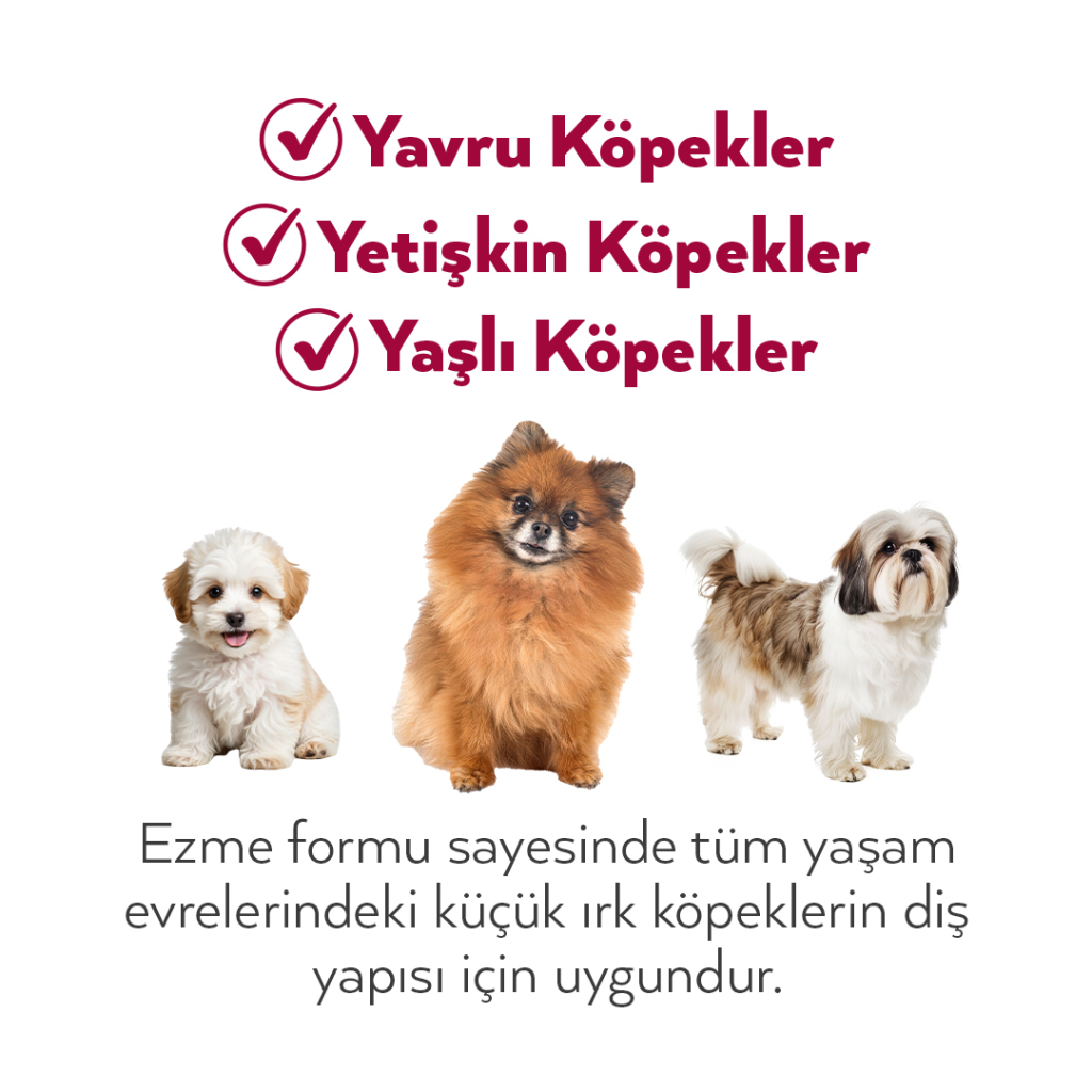 Petlebi Sığırlı Küçük Irklar İçin Ezme Köpek Konservesi 100gr