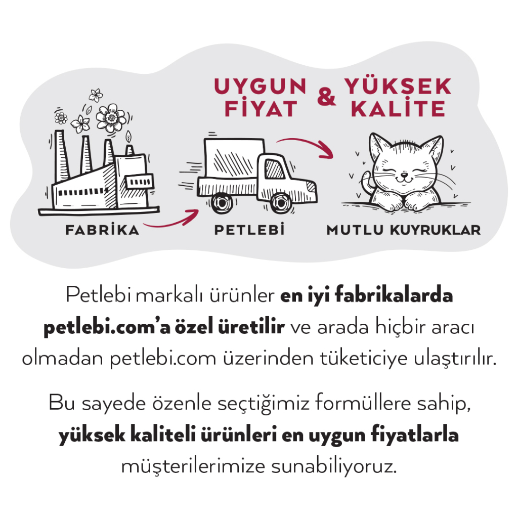 Petlebi Sığırlı Küçük Irklar İçin Ezme Köpek Konservesi 100gr