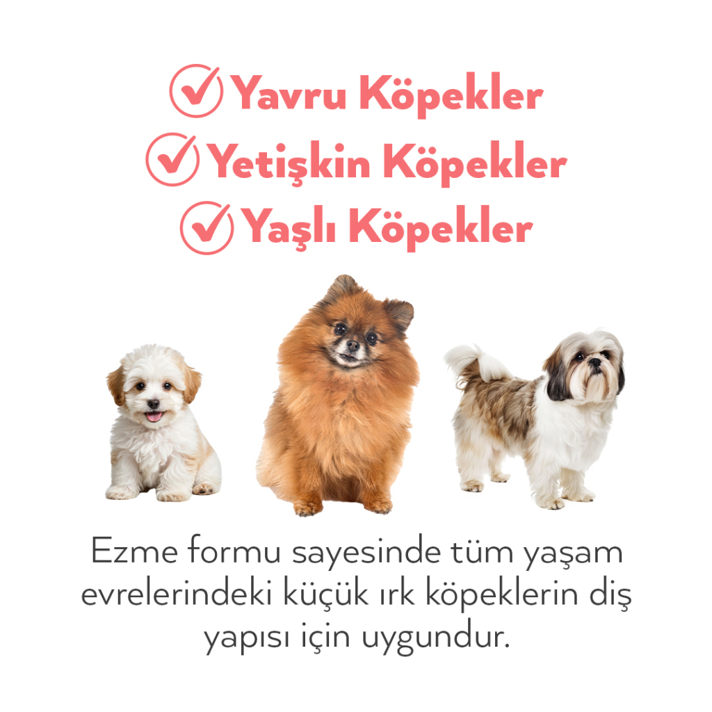 Petlebi Somonlu Küçük Irklar İçin Ezme Köpek Konservesi 100gr