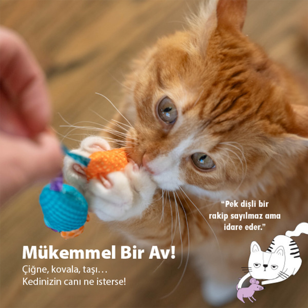 Petstages Catnip Chew Mice Catnipli Fare Kedi Oyuncağı 8,9x16,5cm (2'li) (Mavi)