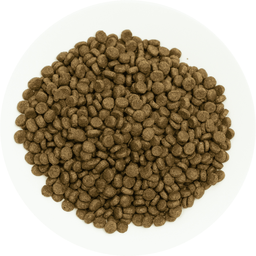 ProChoice Perfect Start Kuzulu ve Pirinçli Yavru Köpek Maması 12kg