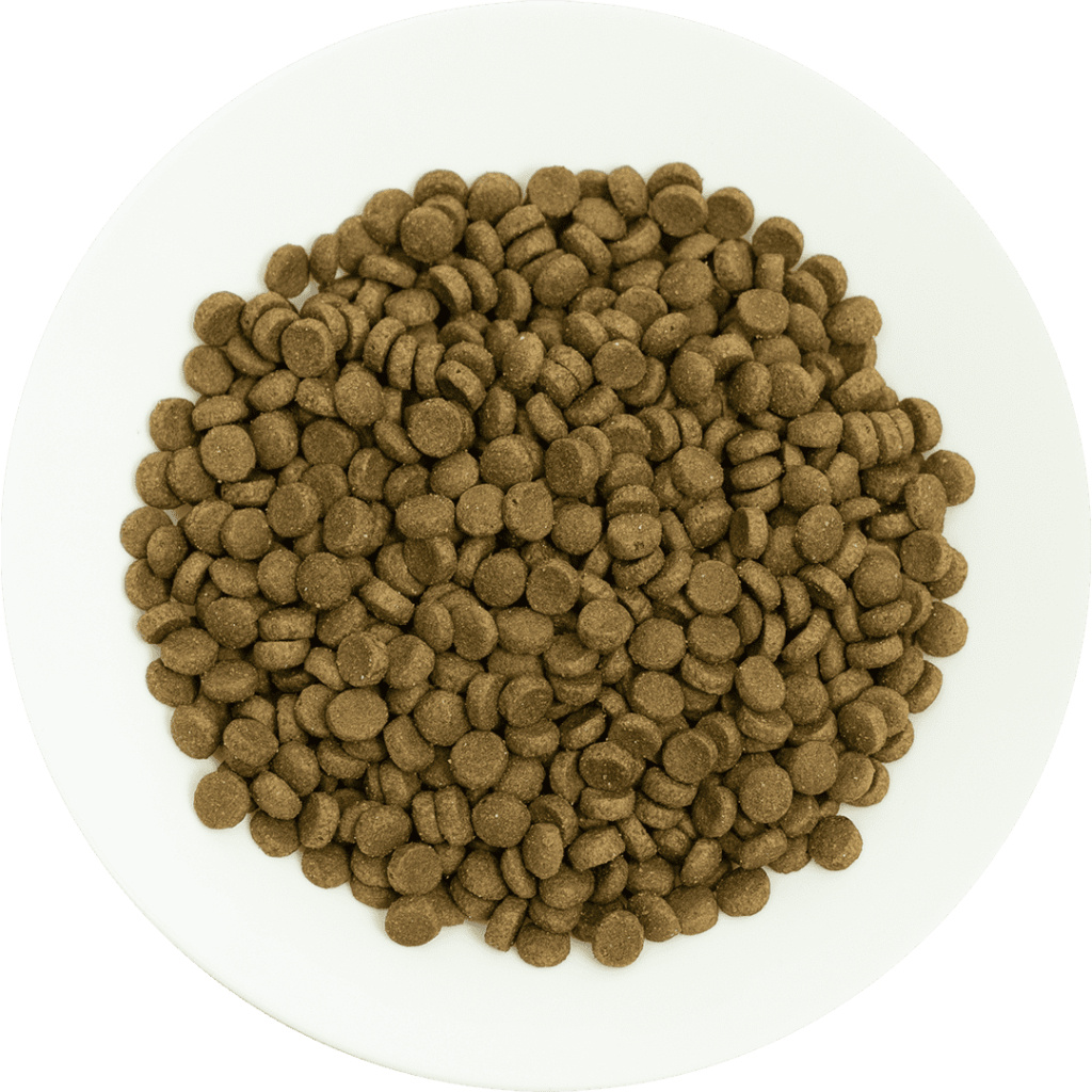 ProChoice Pro 36 Kuzulu ve Pirinçli Düşük Tahıllı Yetişkin Kedi Maması 2kg