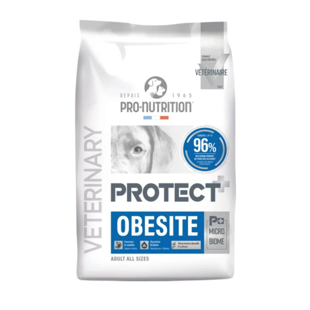 PRO-NUTRITION PROTECT Veterinary Obesite Kilo Kontrolü İçin Köpek Maması 12kg