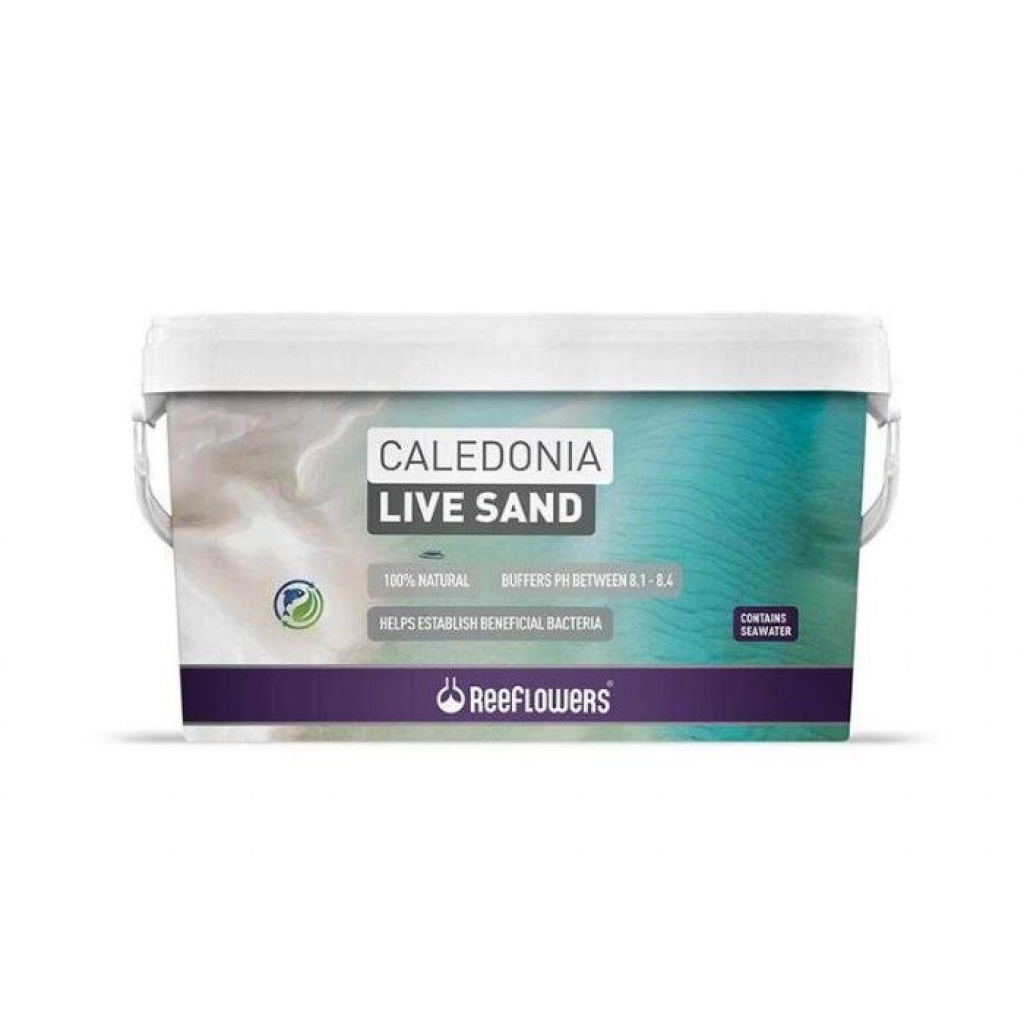 ReeFlowers Caledonia Live Sand Akvaryum Kumu 0,3-3mm 18kg Gold