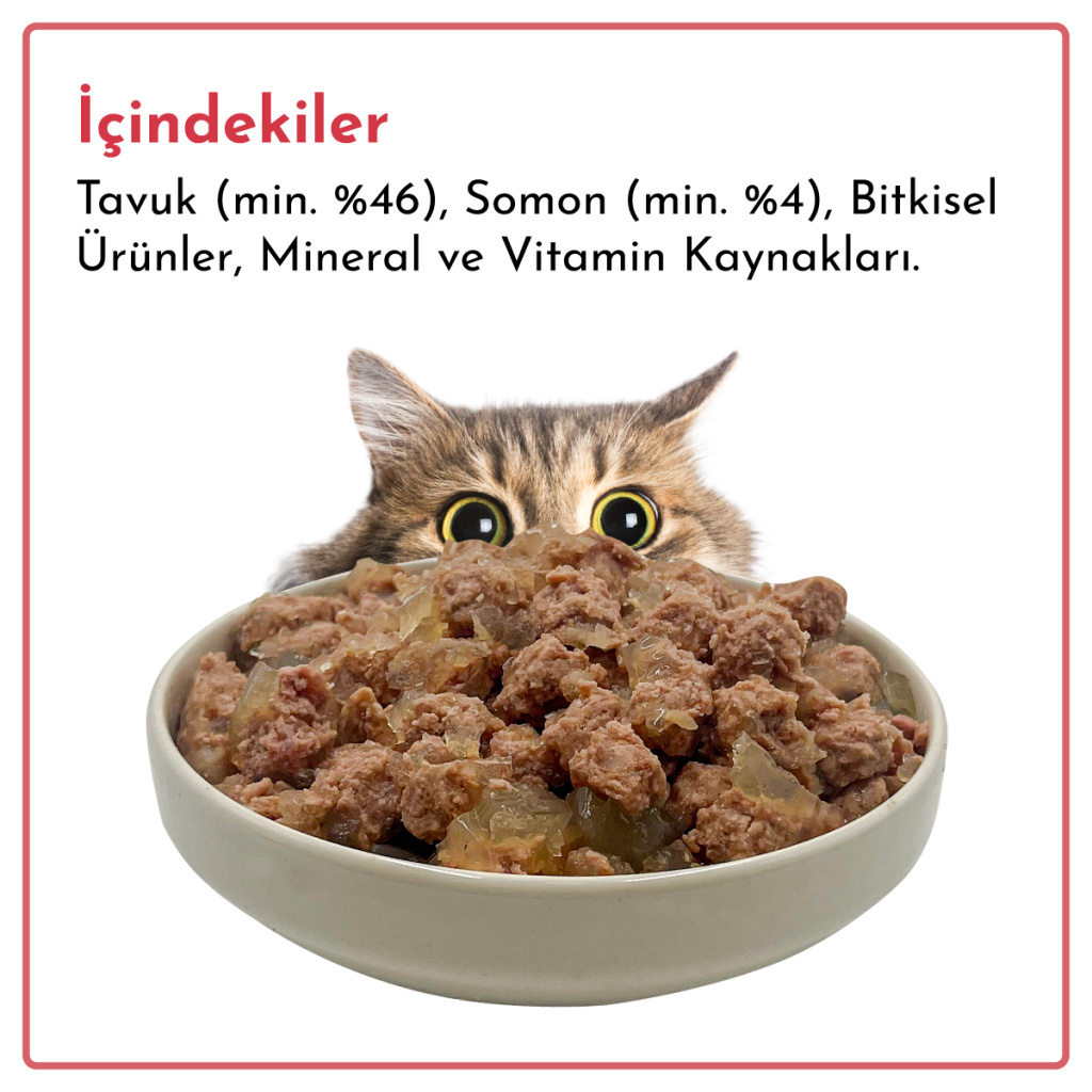 Rimba Sos İçinde Parçalı Somon Balıklı Kedi Konservesi 400gr (6 Adet)
